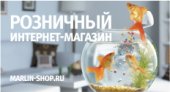 Розничный интернет магазин Розничный интернет магазин