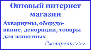 Оптовый интернет магазин аквариумной рыбы