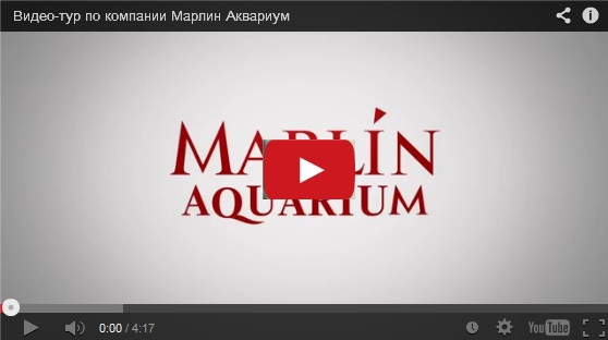 Видео Видео